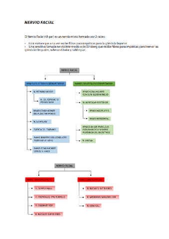 Anatomia-Aplicada-IV.pdf