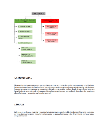 Anatomia-Aplicada-V.pdf