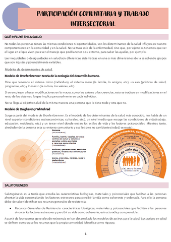 TEMA-7.-PARTICIPACION-COMUNITARIA-Y-TRABAJO-INTERSECTORIAL.pdf
