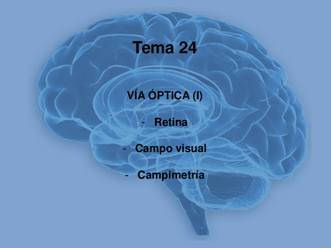 Tema-24.pdf