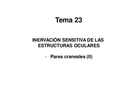 Tema-23.pdf