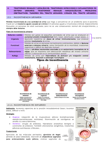 4.2.-Trastornos-renales-y-urologicos.pdf