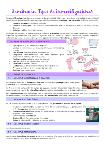 Seminario.-Tipos-de-inmovilizaciones.pdf