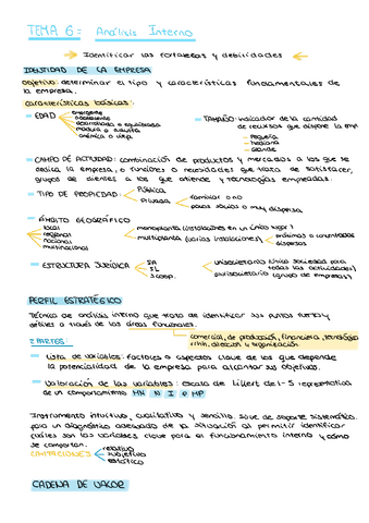 TEMA-6-Analisis-Interno.pdf