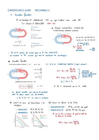 BF-III-CARDIOVASCULAR-MECHANICS.pdf