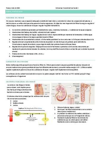 FISIOLOGIA-RENAL.pdf