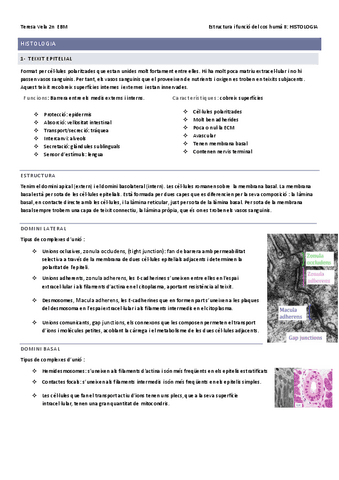 HISTOLOGIA-EN-CATALA.pdf