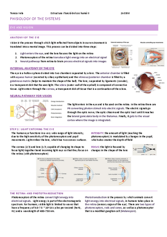 PHISIOLOGY-OF-SENSES.pdf