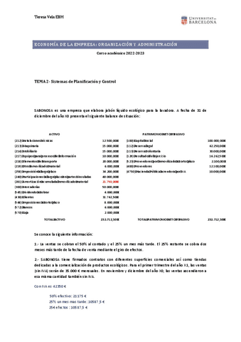 PRACTICA-PRESUPUESTOS-DE-TESORERIA.pdf