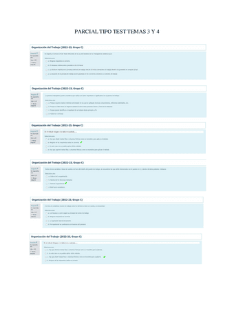 Parcial-Test-Tema-3-y-4.pdf