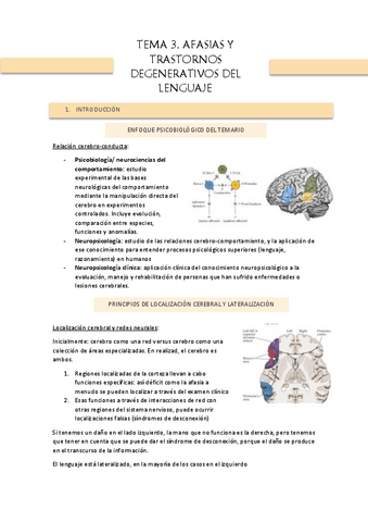 TEMA-3-AFASIAS.pdf