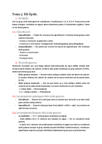 T3.-Els-lipids.pdf