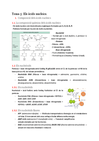 T5.-Els-acids-nucleics.pdf