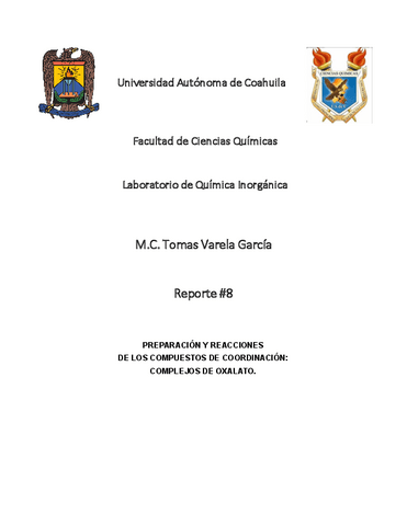 REPORTE-8.pdf