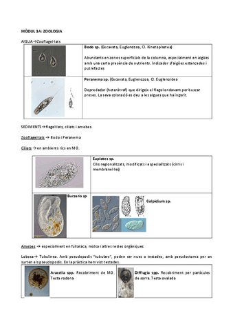 imatges-per-examen-modul-zoo.pdf