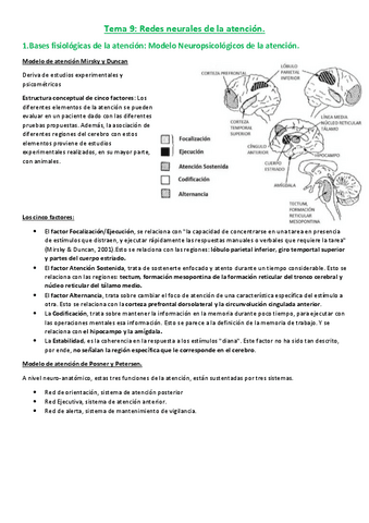 SPA-Tema-9.pdf