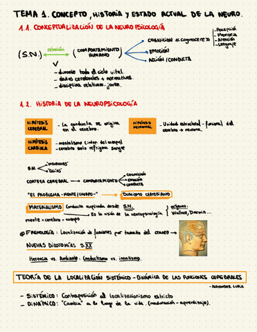 NEUROtema-1.pdf