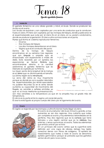 Tema-18.pdf