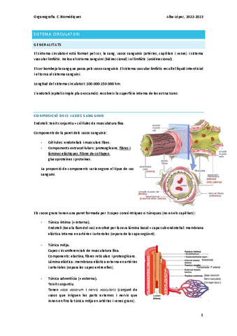Tema-10-sistema-circulatori.pdf