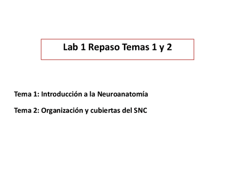 1.-Lab1-corregida.pdf