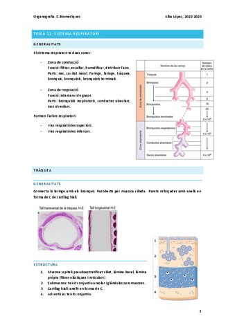 Tema-11-sistema-respiratori.pdf