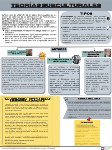 Teorias-subculturales-1.pdf