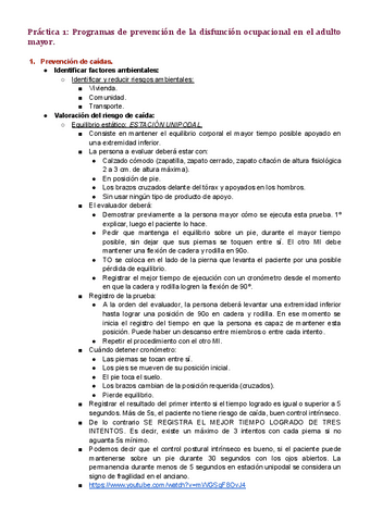 Practica-1.pdf