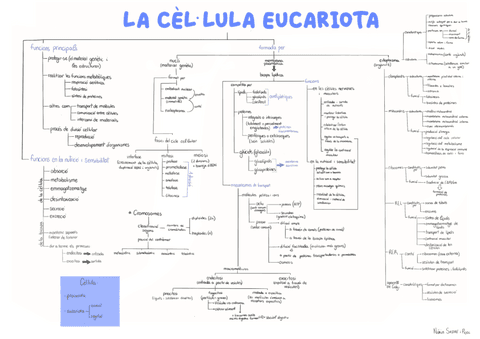 Esquema-Celula.pdf