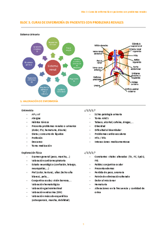 Bloc-3.-Curas-de-enfermeria-en-pacientes-con-problemas-renales.pdf