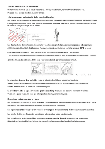 Tema-11-eco.pdf