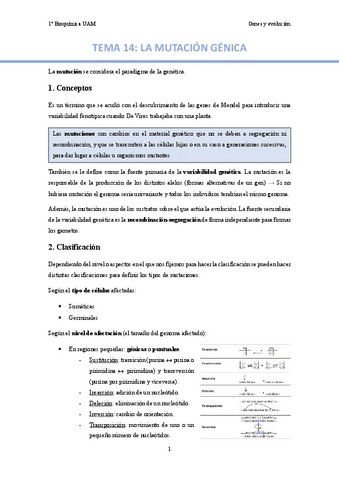 TEMA-14.-La-mutacion-genica..pdf
