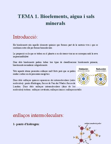TEMA-1-Bioelements-aigua-i-sals-minerals.pdf