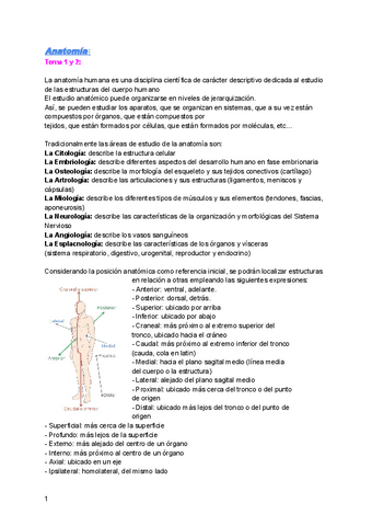 Anatomia-1o-cuatri-2223.pdf