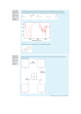 Examen-2a-convo-18-19.pdf