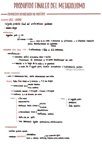BQt3productos-finales-met.pdf