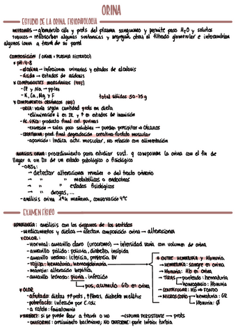 BQt5orina.pdf