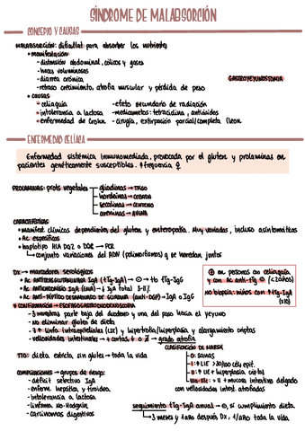 BQt6malabsorcion.pdf