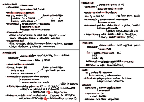 BQt7eq-electrolitico.pdf