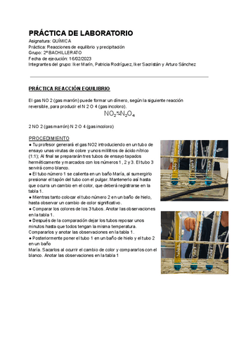 Practica-equilibrio.pdf