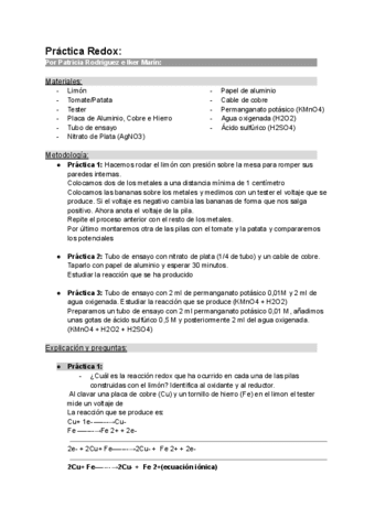 Practica-Redox.pdf