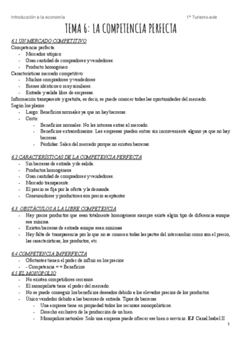 TEMA-6-ECONOMIA.pdf