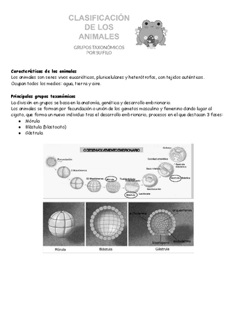 Biologia-animal-1.pdf