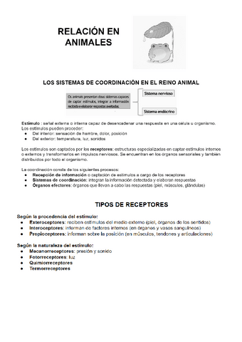 biologia-animal-3.pdf