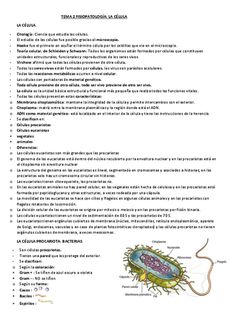 Tema-2-Fisiopatologia.pdf