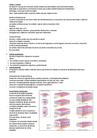 Tema-3-Fisiopatologia.pdf