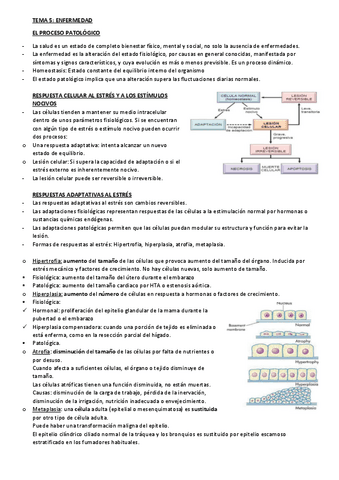 Tema-5-fisiopatologia.pdf