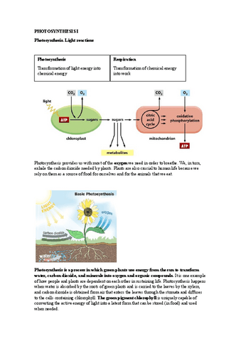 Lesson-9.1Photosynthesis-I.pdf