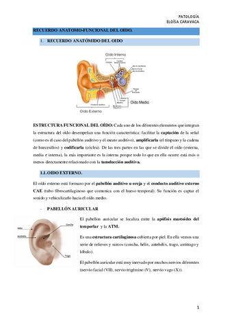 RECUERDO-ANATOMO-FUNCIONAL-DEL-OIDO.pdf