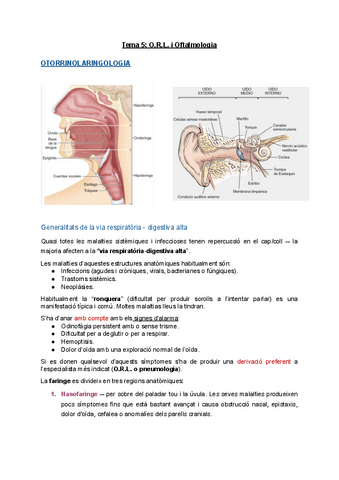 Tema-5-O.R.L.-i-Oftalmologia.pdf