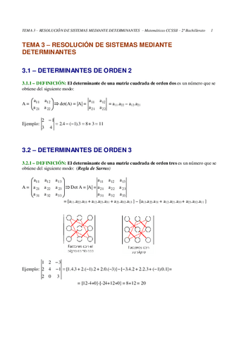 determinantes.pdf